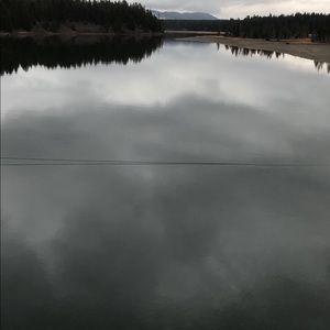 Meet your Posher, Zach